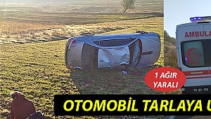 Otomobil tarlaya uçtu: 1ağır yaralı