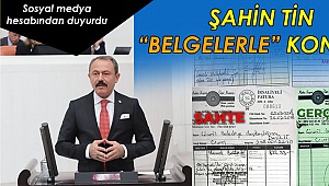 Şahin tin, belgelerle konuştu