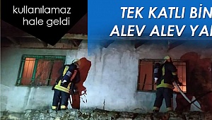 Tek katlı ev alevlere teslim oldu
