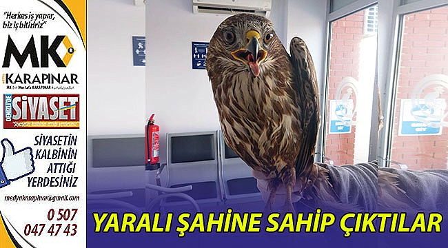 Yaralı şahine Büyükşehir sahip çıktı