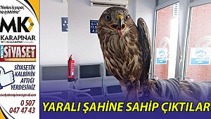 Yaralı şahine Büyükşehir sahip çıktı