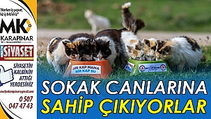 2020 yılında 1100 sokak hayvanı sahiplendirildi