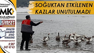 Buldan Belediyesi, Yayla Gölü’nün kazlarını unutmadı