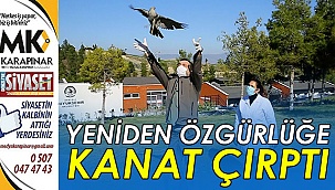 Büyükşehir vahşi doğaya da sahip çıkıyor
