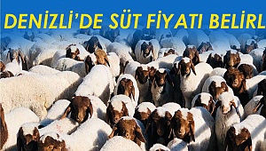 Denizli'de süt fiyatı belirlendi