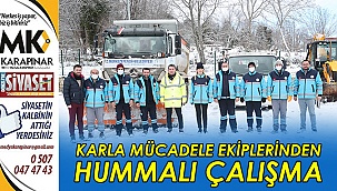 Karla mücadele ekiplerinden hummalı çalışma