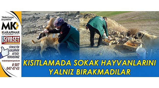 Kısıtlamada sokak hayvanlarını yalnız bırakmadılar