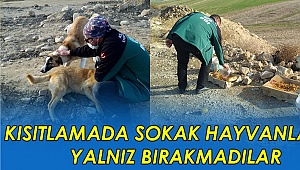 Kısıtlamada sokak hayvanlarını yalnız bırakmadılar