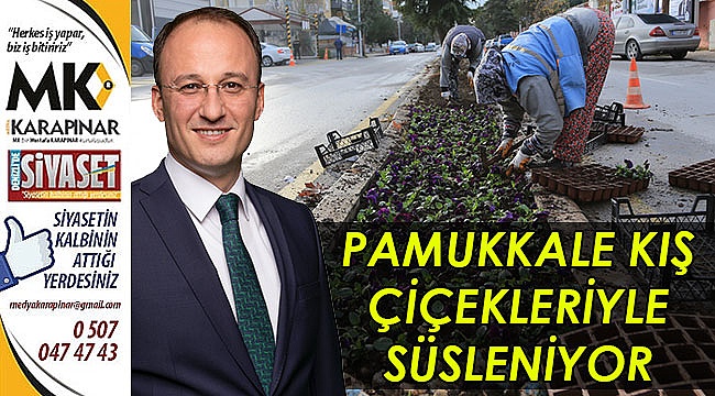 Pamukkale kış çiçekleriyle süsleniyor