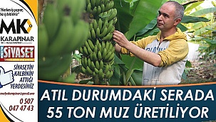Atıl serada muz yetiştiriliyor