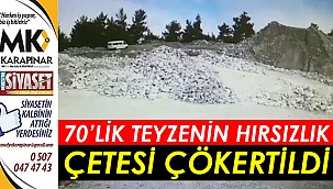 Çetenin lideri 70 yaşındaki kadın çıktı