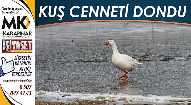 Denizli'de göl buz tuttu