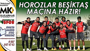 Horozlar, Beşiktaş maçına hazır