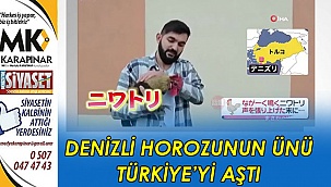 Öterken bayılan 'Denizli Horozu'nun ünü Türkiye'yi aştı
