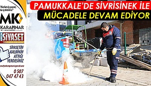 Pamukkale’de sivrisinek ile mücadele devam ediyor