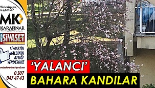 Yalancı bahara kandılar