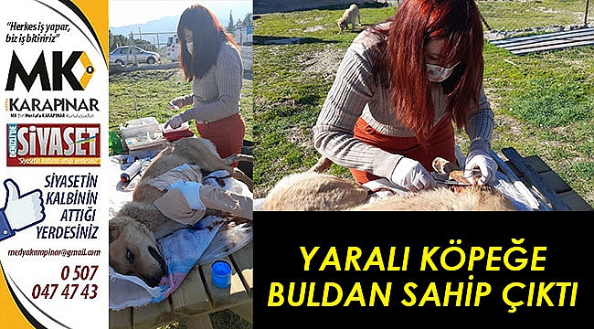Yaralı köpeğe, Buldan Belediyesi sahip çıktı