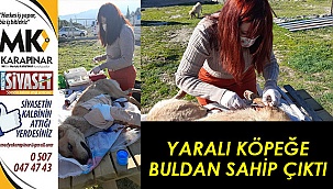 Yaralı köpeğe, Buldan Belediyesi sahip çıktı  