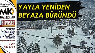 Yayla yeniden beyaza büründü