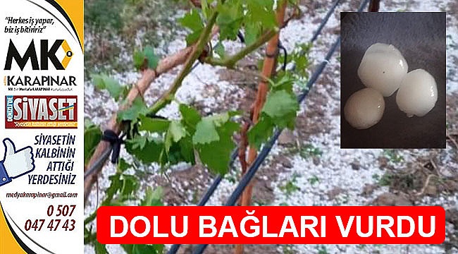 Dolu üzüm bağlarını vurdu