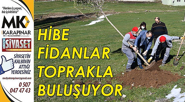 Hibe fidanlar toprakla buluşuyor