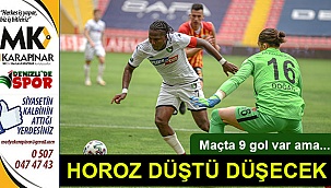 Horoz düştü düşecek!
