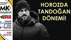 Horozda Tandoğan dönemi!