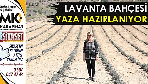 Lavanta bahçesi yaza hazırlanıyor