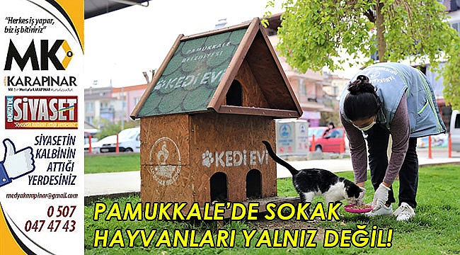 Pamukkale’de sokak hayvanları yalnız değil!