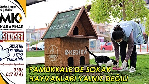 Pamukkale’de sokak hayvanları yalnız değil!