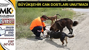 Büyükşehir can dostları unutmadı