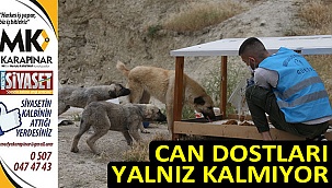 Can dostları yalnız kalmıyor