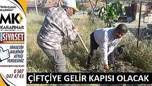Çiftçiye gelir kapısı olacak