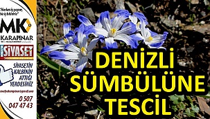 Denizli Sümbülü tescillendi