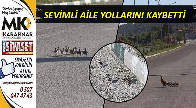 Sevimli aile yollarını kaybetti