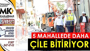 5 mahallede daha çile bitiriyor