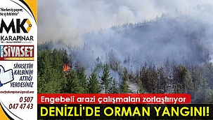 Denizli'de orman yangını!