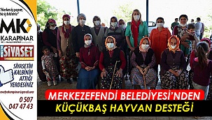 Merkezefendi Belediyesi’nden küçükbaş hayvan desteği