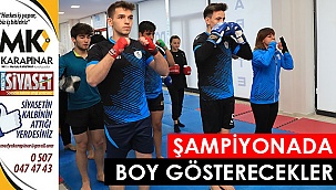 Şampiyonada boy gösterecekler