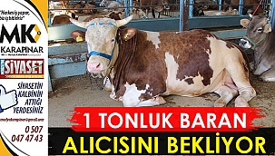 1 tonluk Baran alıcısını bekliyor