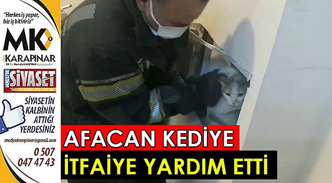 Afacan kediye itfaiye yardım etti
