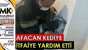 Afacan kediye itfaiye yardım etti