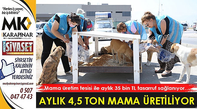 Aylık 4,5 ton mama üretiliyor