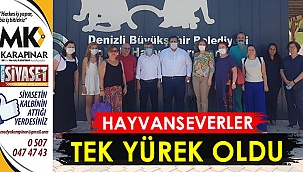 Hayvanseverler tek yürek oldu