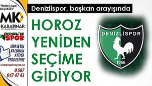 Horoz yeniden seçime gidiyor