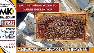 Arıcılar da sıcaktan şikayetçi oldu