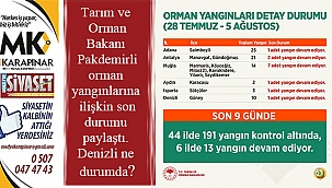 Bakan Pakdemirli, orman yangınlarına ilişkin son durumu paylaştı
