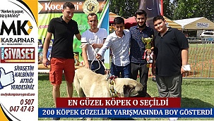 Denizli'de 200 köpek güzellik yarışmasında boy gösterdi