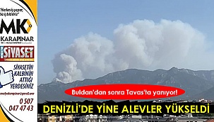 Denizli'nin ciğerleri yanıyor!