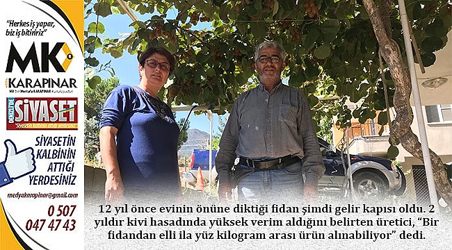 12 yıl önce evinin önüne diktiği fidan şimdi gelir kapısı oldu.